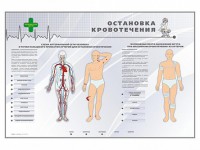 Электрифицированный стенд "Остановка кровотечения" - fgospostavki.ru - Белогорск