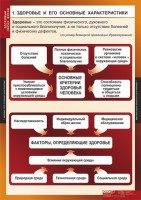 Комплект таблиц. ОБЖ. Здоровый образ жизни. - fgospostavki.ru - Белогорск