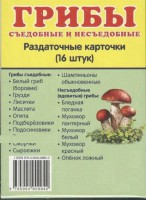 Раздаточные карточки "Грибы съедобные и не съедобные" - fgospostavki.ru - Белогорск