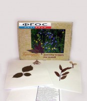 Гербарий "Дикорастущие растения" (28 видов) - fgospostavki.ru - Белогорск