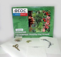 Гербарий "Основные группы растений" (52 листа) - fgospostavki.ru - Белогорск