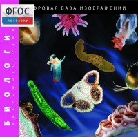 Биология. Микрофотографии. (Цифровая база изображений) - fgospostavki.ru - Белогорск