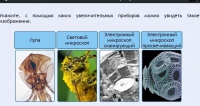 Интерактивные курсы. Биология 5 класс. Расширенный - fgospostavki.ru - Белогорск