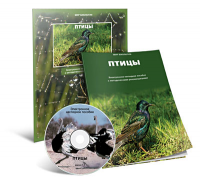 Электронное наглядное пособие «Птицы» - fgospostavki.ru - Белогорск