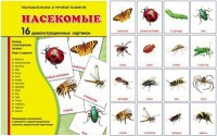 Демонстрационные карточки "Насекомые" - fgospostavki.ru - Белогорск
