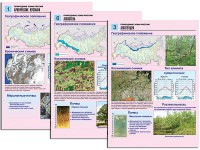 Комплект таблиц по географии "Природные зоны России" раздаточные (цветные, ламинированные, А4, 10 штук) - fgospostavki.ru - Белогорск
