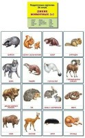 Раздаточные карточки "Дикие животные (1)" - fgospostavki.ru - Белогорск