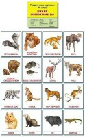 Раздаточные карточки "Дикие животные (2)" - fgospostavki.ru - Белогорск