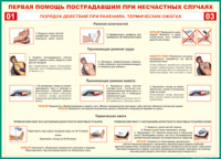 Таблица "Порядок действий при ранениях и термических ожогах" (100х140 сантиметров, винил) - fgospostavki.ru - Белогорск