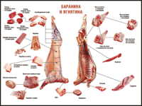 Таблица "Правила разделки мясных туш. Баранина и ягнятина" (100х140 сантиметров, винил) - fgospostavki.ru - Белогорск
