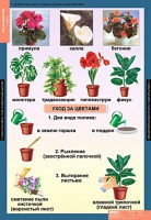 Комплект таблиц. Окружающий мир 1 класс. - fgospostavki.ru - Белогорск