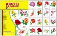 Демонстрационные карточки "Цветы садовые" - fgospostavki.ru - Белогорск