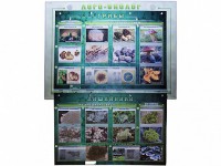 Комбинированный модульный комплекс "Лого-биолог" - fgospostavki.ru - Белогорск