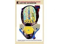 Рельефная таблица "Долька печени. Макро-микростроение" (формат А1, матовое ламинирование) - fgospostavki.ru - Белогорск