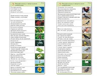 Комплект карточек (10) "Обучающий калейдоскоп. Природа" - fgospostavki.ru - Белогорск