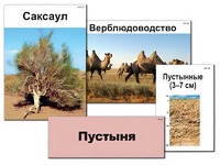 Модель-аппликация "Природные зоны России" (ламинированная) - fgospostavki.ru - Белогорск