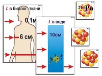 Модель-аппликация "Явление радиоактивности" (ламинированная) - fgospostavki.ru - Белогорск
