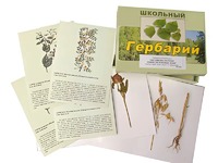 Гербарий "Систематика растений. Семейство Бобовые. Злаки" (раздаточный) - fgospostavki.ru - Белогорск