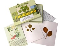 Гербарий "Систематика растений. Семейство Розоцветные" (раздаточный) - fgospostavki.ru - Белогорск