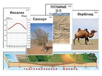 Модель-аппликация "Природные зоны" - fgospostavki.ru - Белогорск