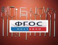 Постановочные зонды (медицинская сталь). Комплект из 12 зондов - fgospostavki.ru - Белогорск