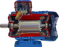 Учебная модель «Электродвигатель асинхронный в разрезе» - fgospostavki.ru - Белогорск