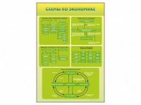 Стенды "Схемы по экономике" - fgospostavki.ru - Белогорск