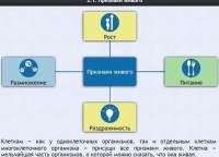 Интерактивные курсы. Биология 5 класс. Базовый - fgospostavki.ru - Белогорск