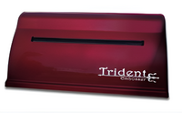 Принтер для печати рельефно-точечным шрифтом Брайля Trident - fgospostavki.ru - Белогорск