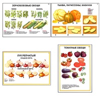 Плакаты ПРОФТЕХ "Ассортимент овощных культур" (12 пл, винил, 70х100) - fgospostavki.ru - Белогорск