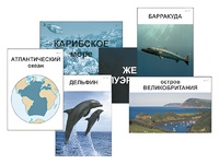 Модель-аппликация "Океаны. Знакомство" (ламинированная) - fgospostavki.ru - Белогорск