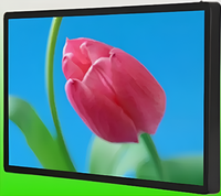 Киоск информационный настенный сенсорный 27" (вариант 1) - fgospostavki.ru - Белогорск