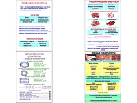 Плакаты ПРОФТЕХ "Классификации и виды мяса" (4 пл, винил, 70х100) - fgospostavki.ru - Белогорск