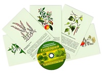 Интерактивный наглядный комплекс "Гербарий "Для начальной школы" - fgospostavki.ru - Белогорск