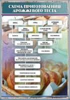 Стенд "Схема приготовления дрожжевого теста" - fgospostavki.ru - Белогорск