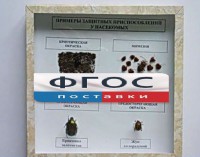 Коллекция энтомологическая "Примеры защитных приспособлений у насекомых" - fgospostavki.ru - Белогорск