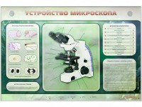 Электрифицированный стенд "Устройство микроскопа и правила работы c ним" - fgospostavki.ru - Белогорск