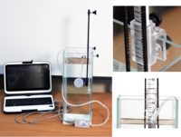 Набор демонстрационный «Гидростатика и плавание тел» - fgospostavki.ru - Белогорск