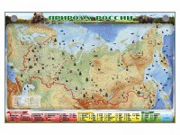 Электронно-информационный (маркерный) стенд "Природа России" - fgospostavki.ru - Белогорск