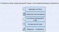 Интерактивные курсы. Русский язык 7 класс . Базовый. - fgospostavki.ru - Белогорск