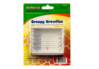 Набор микропрепаратов для микроскопа №2 «Насекомые» - fgospostavki.ru - Белогорск