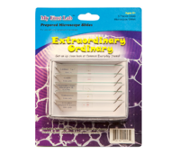 Набор микропрепаратов для микроскопа №3 «Необычное в обычном» - fgospostavki.ru - Белогорск