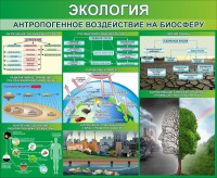 Стенд "Экология. Антропогенное воздействие на биосферу" - fgospostavki.ru - Белогорск