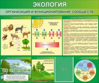 Стенд "Экология. Организация и функционирование сообществ" - fgospostavki.ru - Белогорск