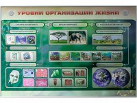 Электрифицированный стенд "Уровни организации жизни" - fgospostavki.ru - Белогорск