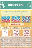 Стенд "Диффузия" - fgospostavki.ru - Белогорск
