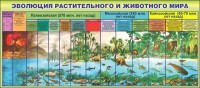 Стенд "Эволюция растительного и животного мира" - fgospostavki.ru - Белогорск