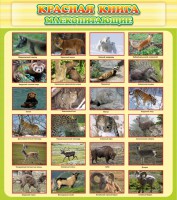Стенд "Красная книга - млекопитающие" - fgospostavki.ru - Белогорск