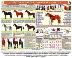 Комплект плакатов "Служебное коневодство" - fgospostavki.ru - Белогорск