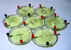 Демонстрационный комплект «Силовые линии электрического поля разных систем зарядов» - fgospostavki.ru - Белогорск